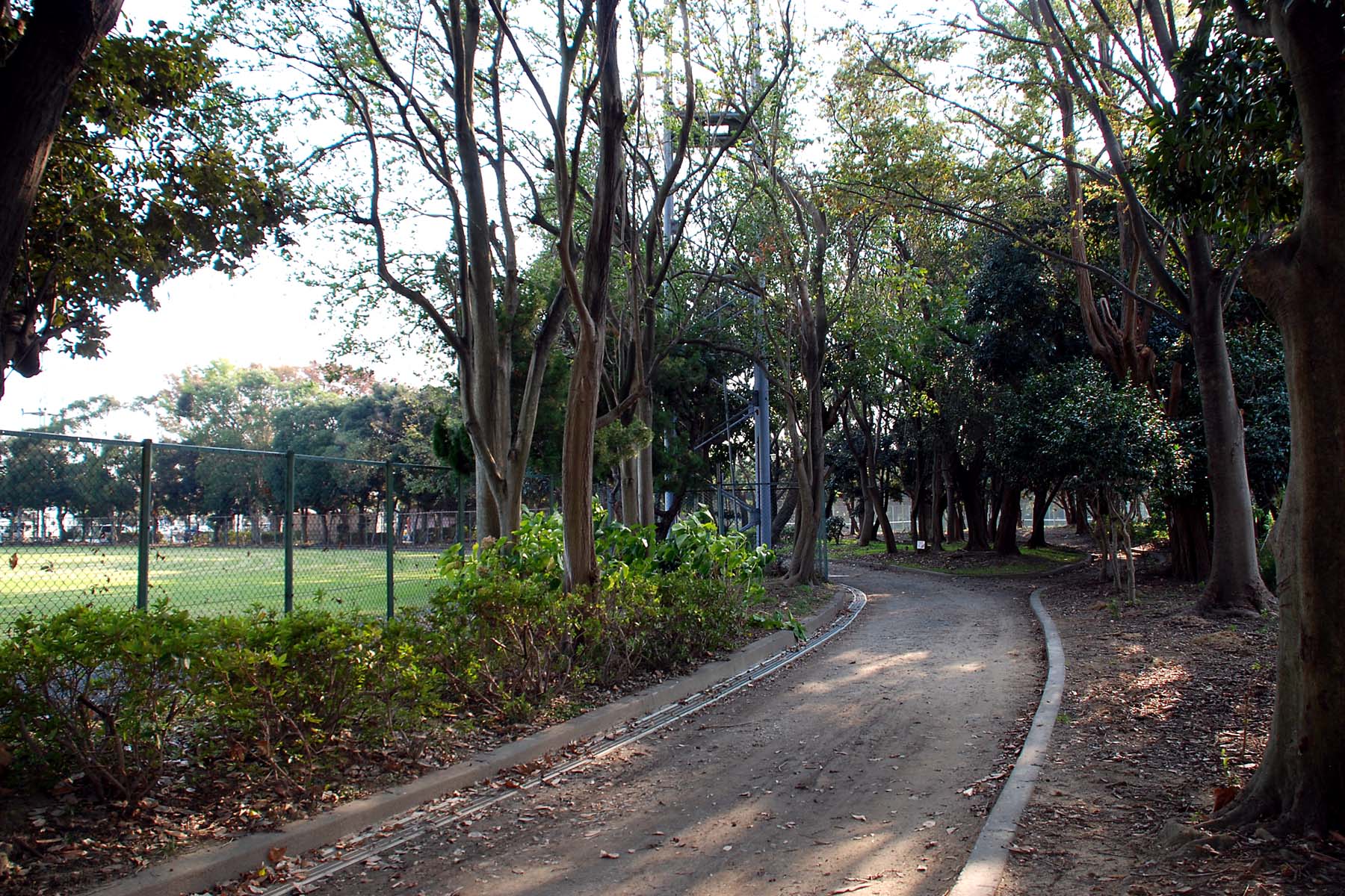 安間川公園 浜松情報book